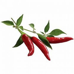 Click And Grow Chili Pepper