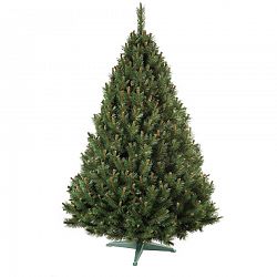 Nohel 91412 Vianočný stromček Borovica, 160 cm